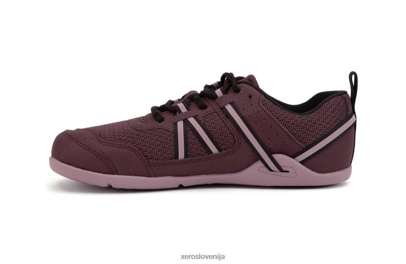 prio tekaški in fitnes copat - ženski XF88F266 figa / bezeg Xero Shoes